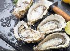Das Beste, frisch aus dem Meer